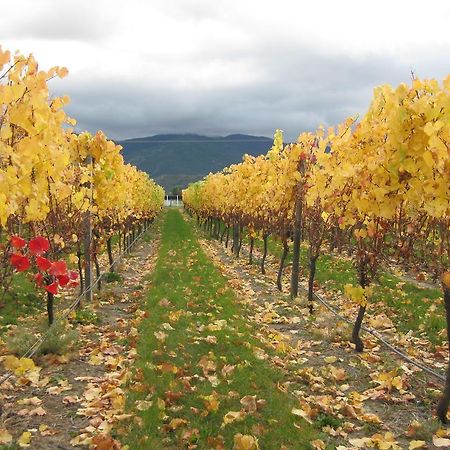 Korohi Vineyard Bnb ブレナム エクステリア 写真